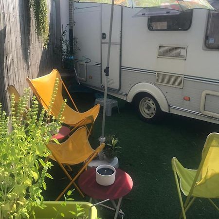 Gardencaravan Near Ghent In Green Area ภายนอก รูปภาพ