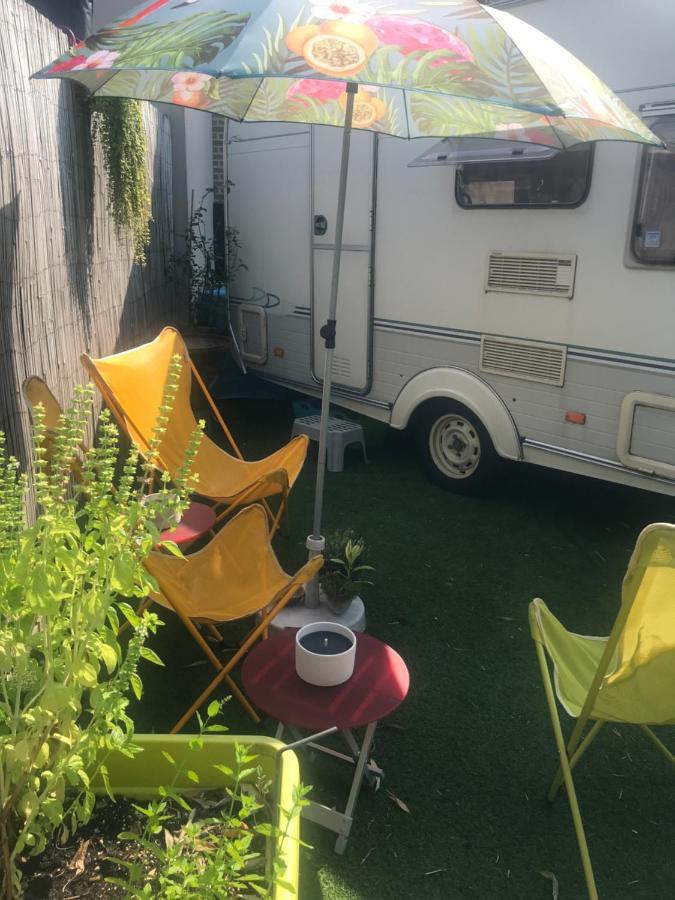 Gardencaravan Near Ghent In Green Area ภายนอก รูปภาพ