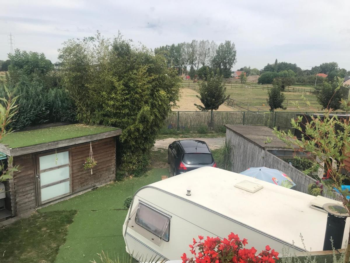 Gardencaravan Near Ghent In Green Area ภายนอก รูปภาพ