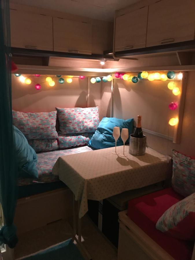 Gardencaravan Near Ghent In Green Area ภายนอก รูปภาพ
